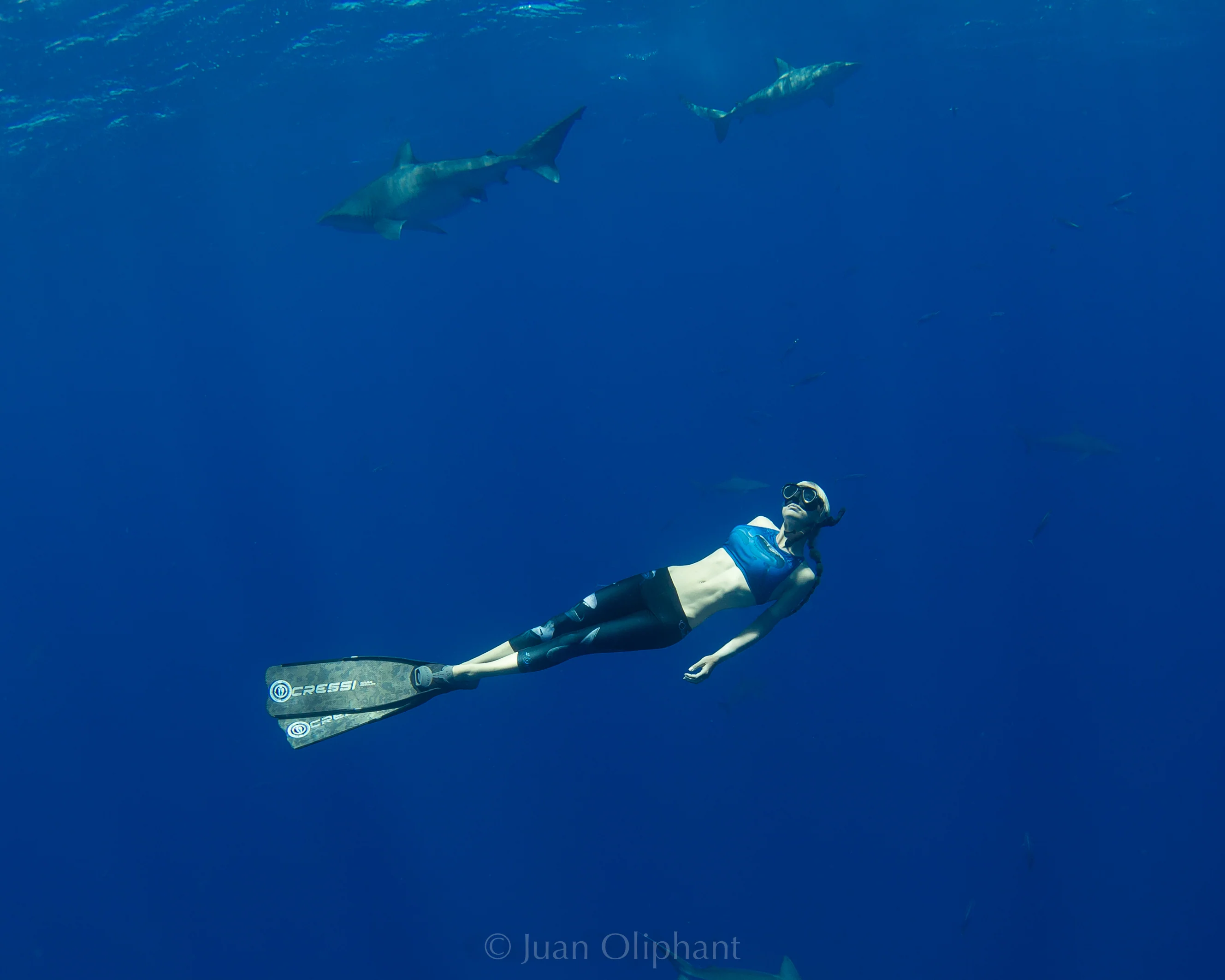 OCEAN RAMSEY SIGNATURE SHARK CLASSIC CLIP DEEP BLUE - Image 4